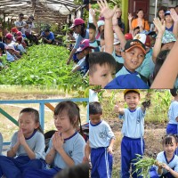 Outdoor Study Agrowisata SCW Kelas 1- Feb 2020